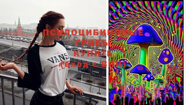мдпв Наволоки
